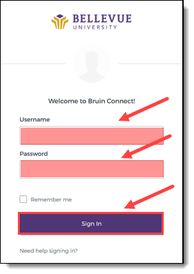 Screenshot, Bruin Connect login box